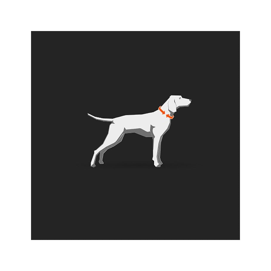 Freemotion Dragsele STORLEK #5 - NACKOMKRETS: 36-40 CM