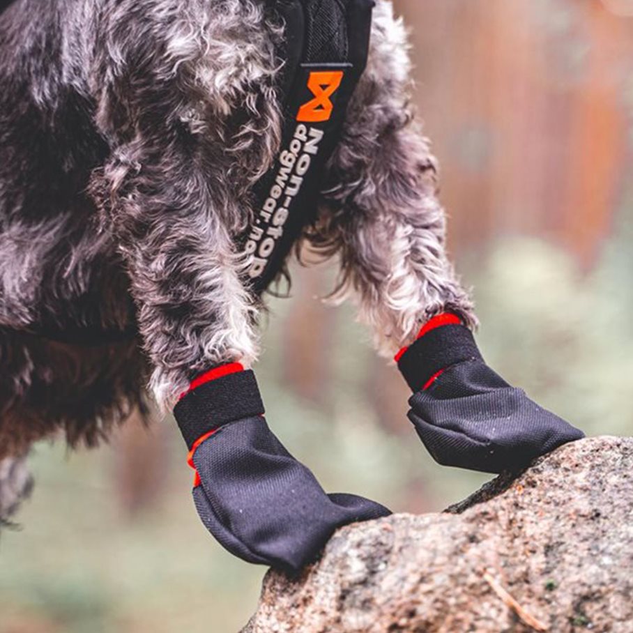 Nylonfodrad socka 4-pack SVART / S