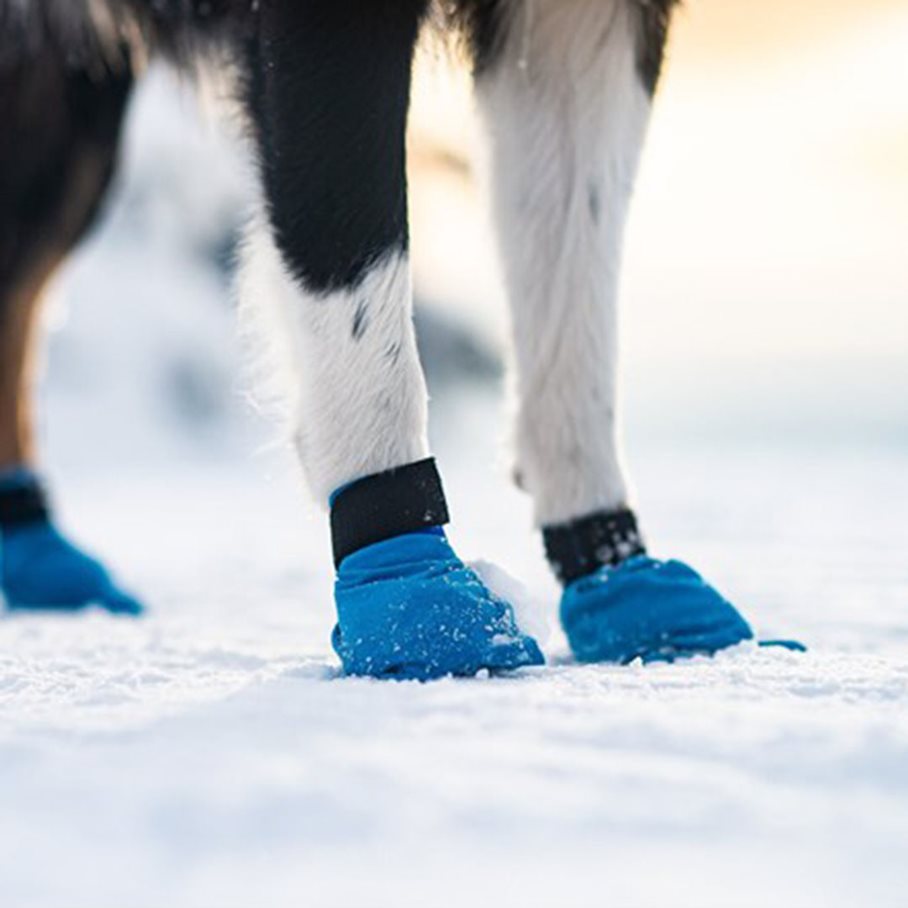 Long Distance Tasskydd, 4st BLÅ / M