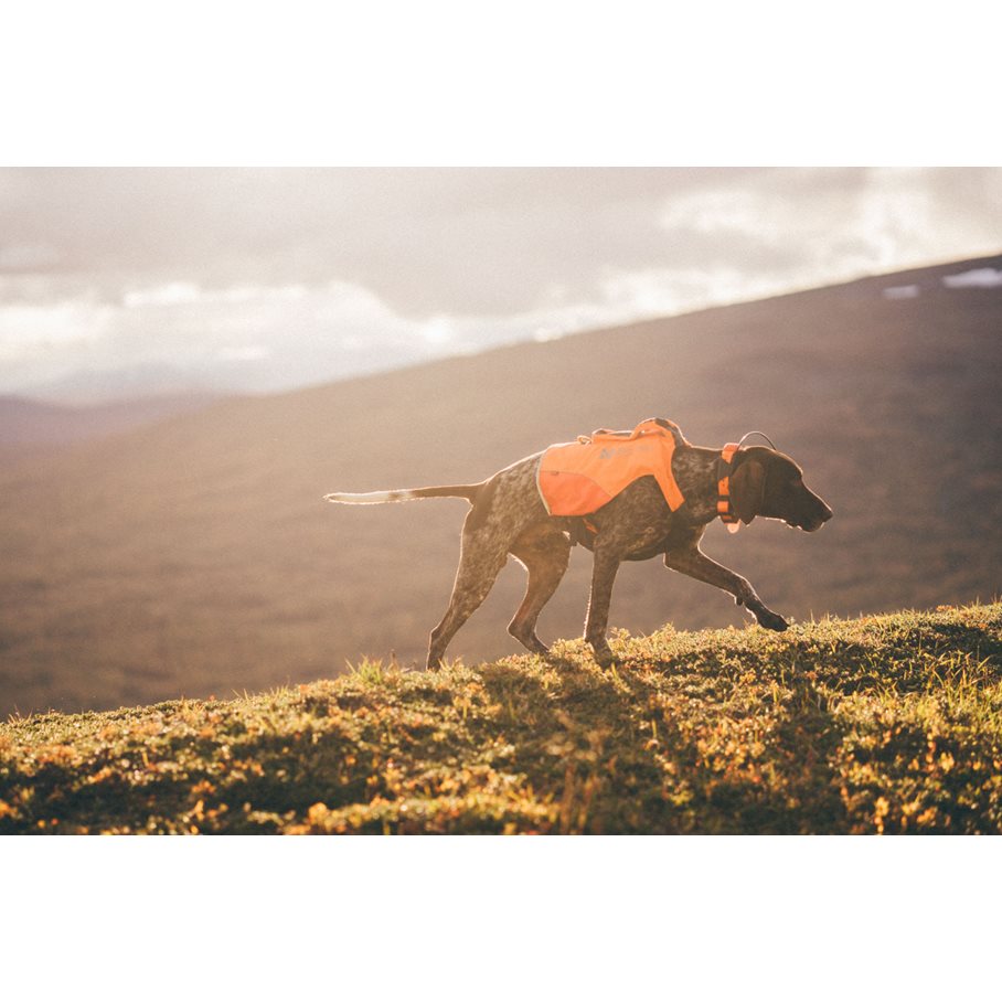 Protector Hundväst för GPS, kevlarförstärkt M