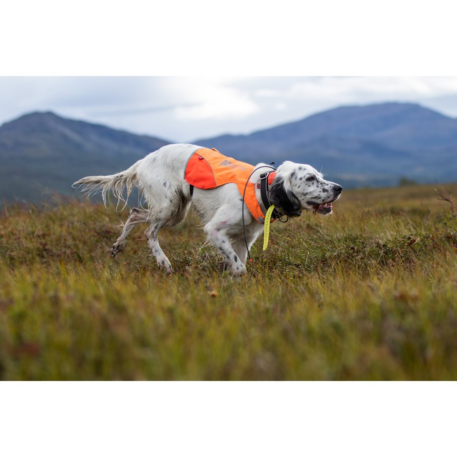Protector Cover Hundväst med reflex XL