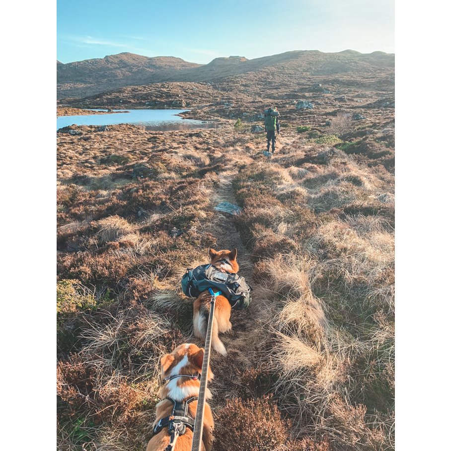 Amundsen pack, Klövjeväska Hund XS