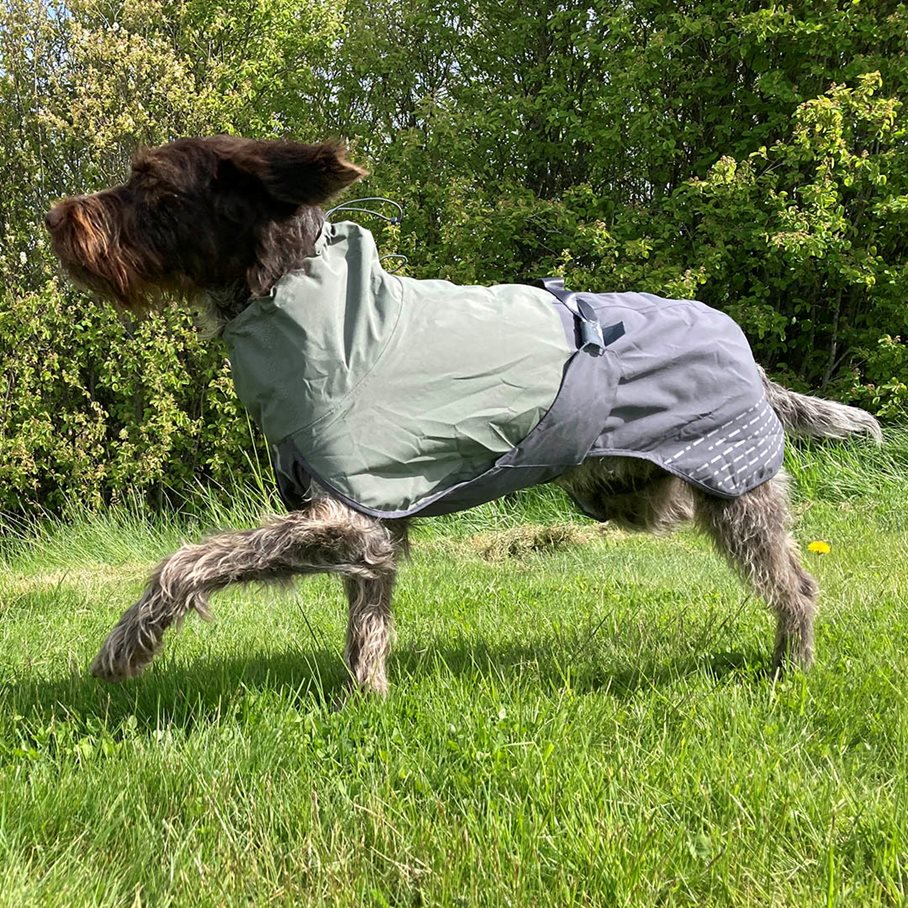 Fjord Regntäcke Hund GRÅ/GRÖN / 55 CM