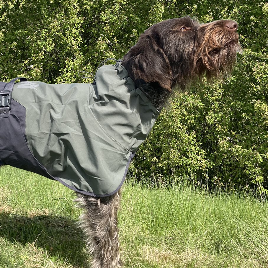 Fjord Regntäcke Hund GRÅ/GRÖN / 65 CM