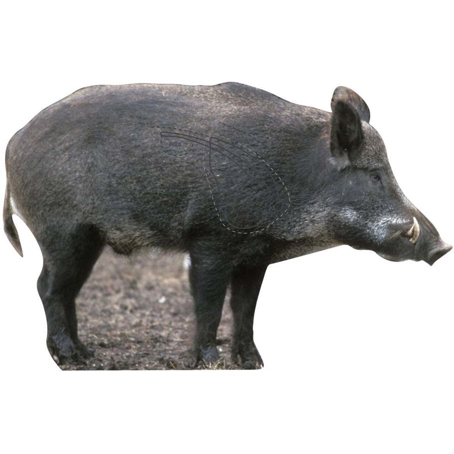 Vildsvinssida HÖGER