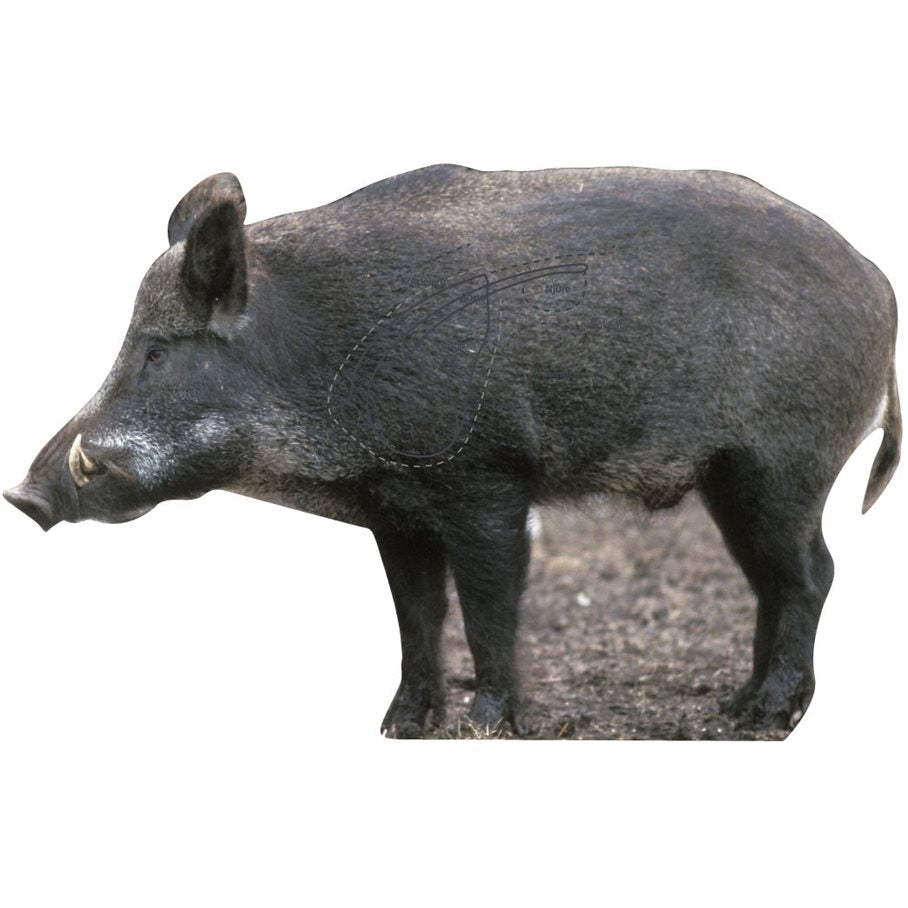 Vildsvinssida VÄNSTER