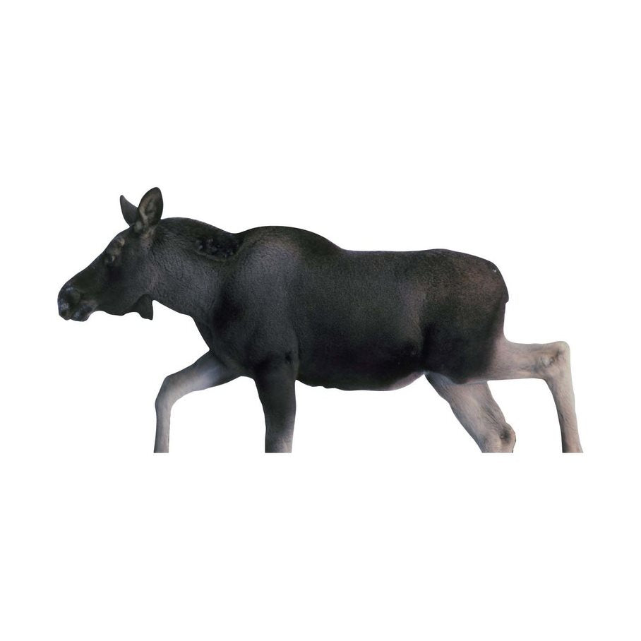 Älgkalv, ej ringad HÖGER