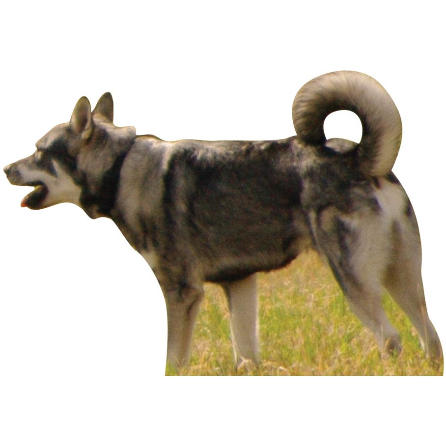 Hund skjutmål löpande HÖGER