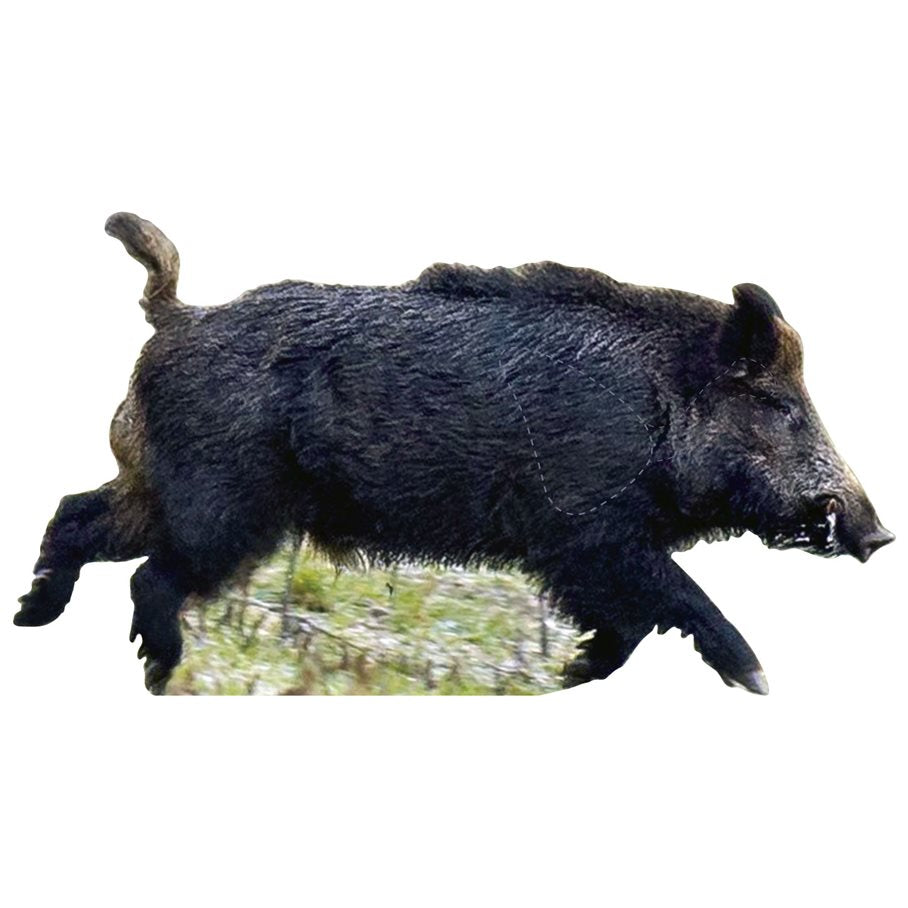 Vildsvin löpande HÖGER