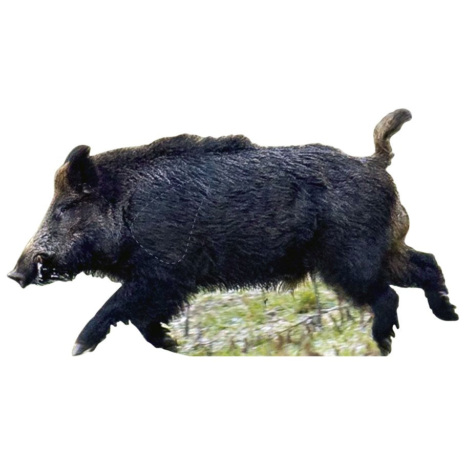 Vildsvin löpande HÖGER