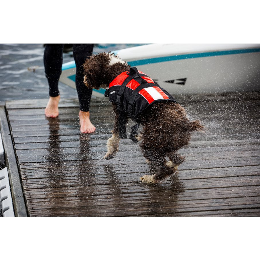 Hundflytväst Mascot ROZZO/SVART / L