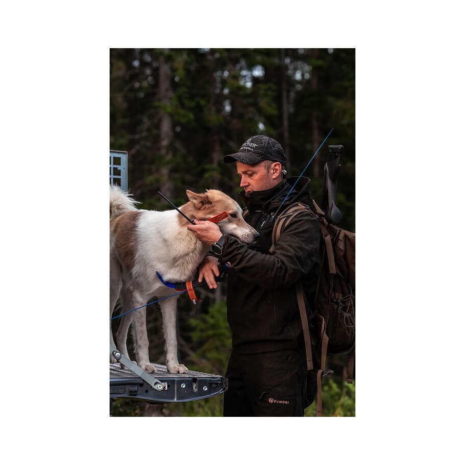 Loden Byxa GRÖN / 56