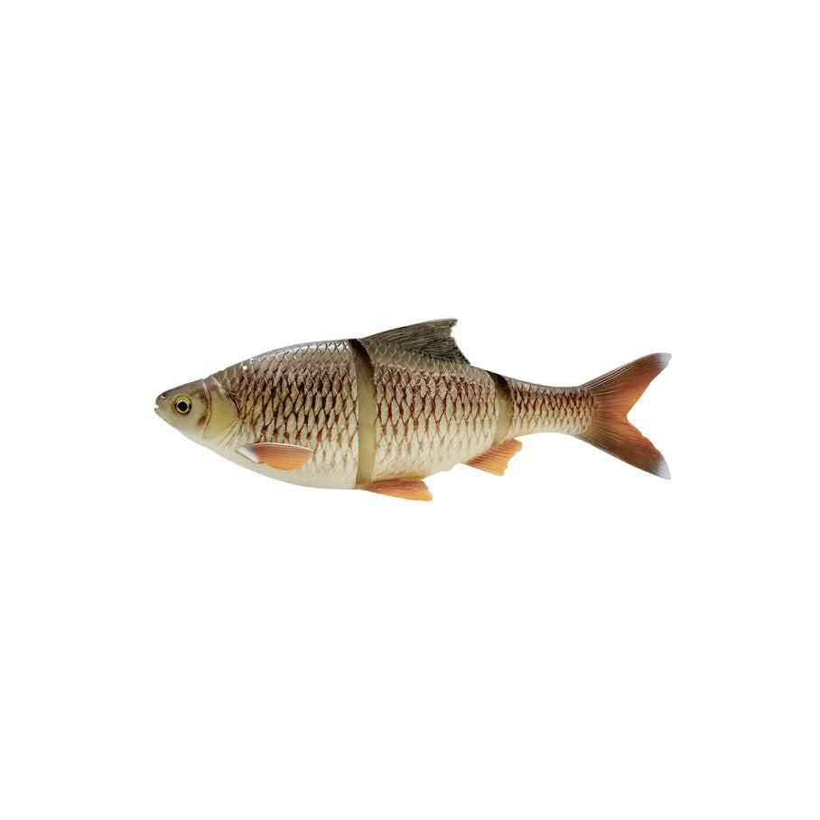 Line Thru Roach SS 32 cm GOLDEN BREAM / 32 CM / 420 GRAM
