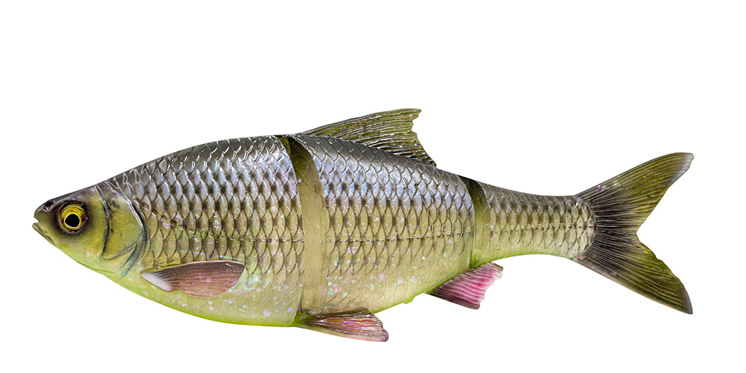 Line Thru Roach SS 32 cm HUGO / 32 CM / 420 GRAM