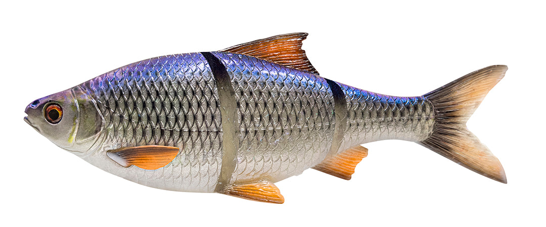 Line Thru Roach SS 32 cm BLUE / 32 CM / 420 GRAM