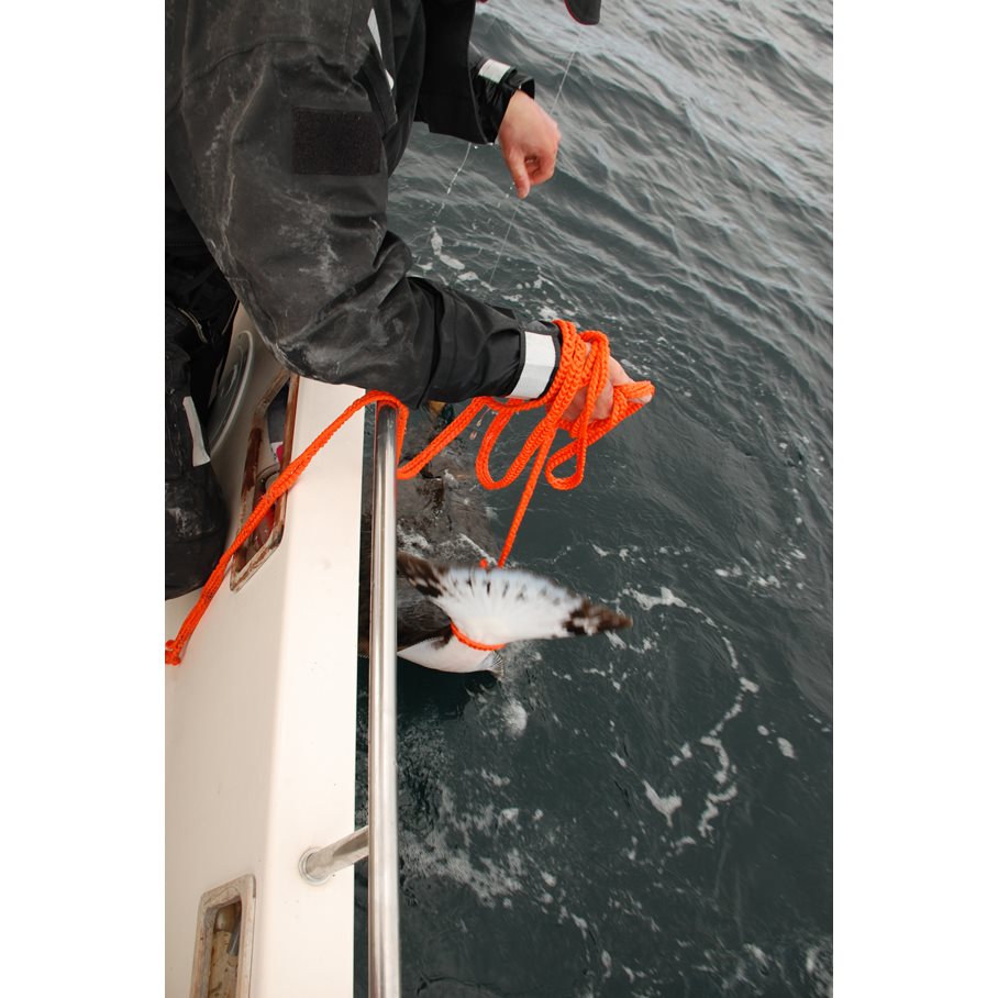 Catch & Release vid upptagning av fisk nr 12 ORANGE / 3 M