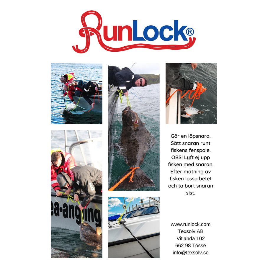 Catch & Release vid upptagning av fisk nr 12 ORANGE / 3 M