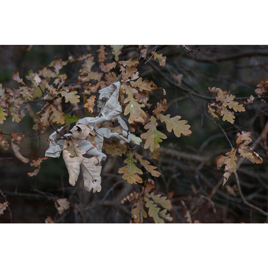 Strip-Solid URBAN-GREY / 4 CM X 8 M