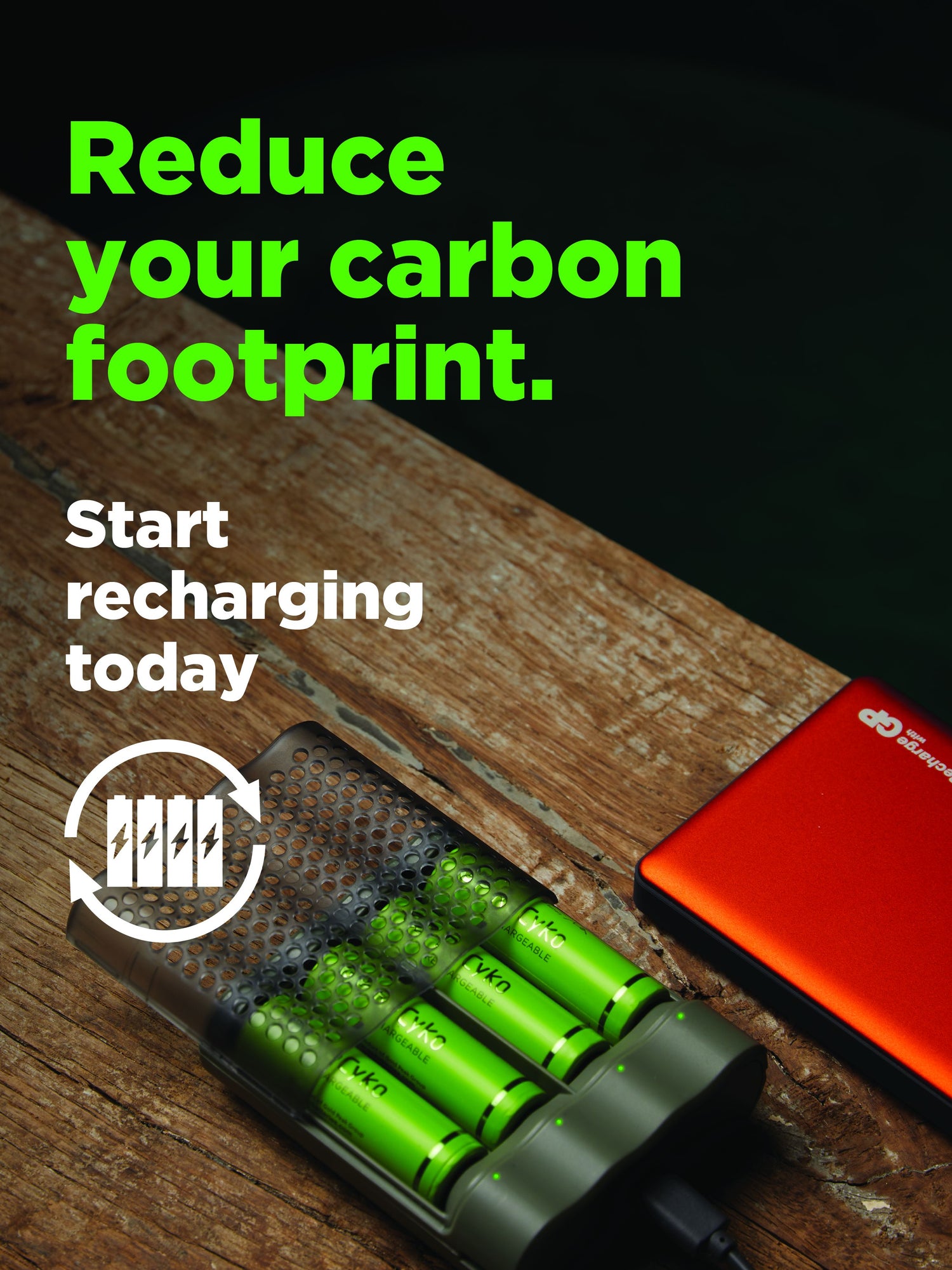 ReCyko Speed-batteriladdare M451/100AAAHCE-2WB4 GRÅ / EN STL