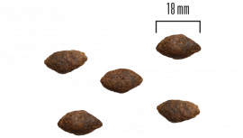 Dog Adult All Breed Grainfree Lax och Potatis 1,5kg eller 10 kg SMAK FR. HJORT OCH KALKON & MÄNGD 1,5 KG