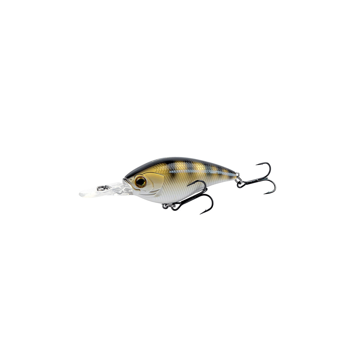 Cover Crank Floating SR 5 cm 7 gram RAINBOW TROUT / 50 MM