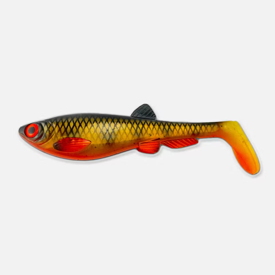Gigabite v2 21cm 96 g ORANGE BELLY PERCH / EN STL