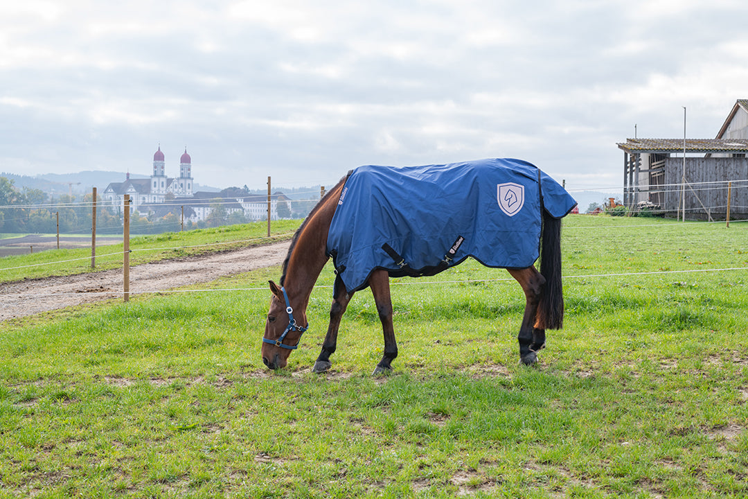 Regntäcke Basic 600D NAVY / 125 CM