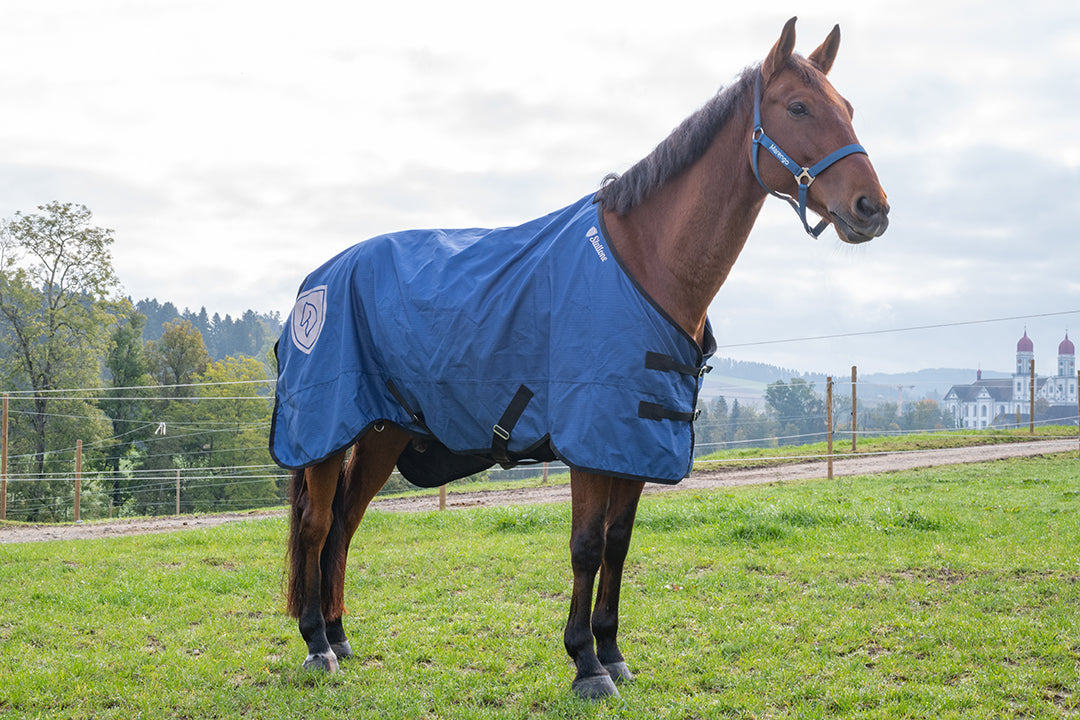 Regntäcke Basic 600D NAVY / 140 CM