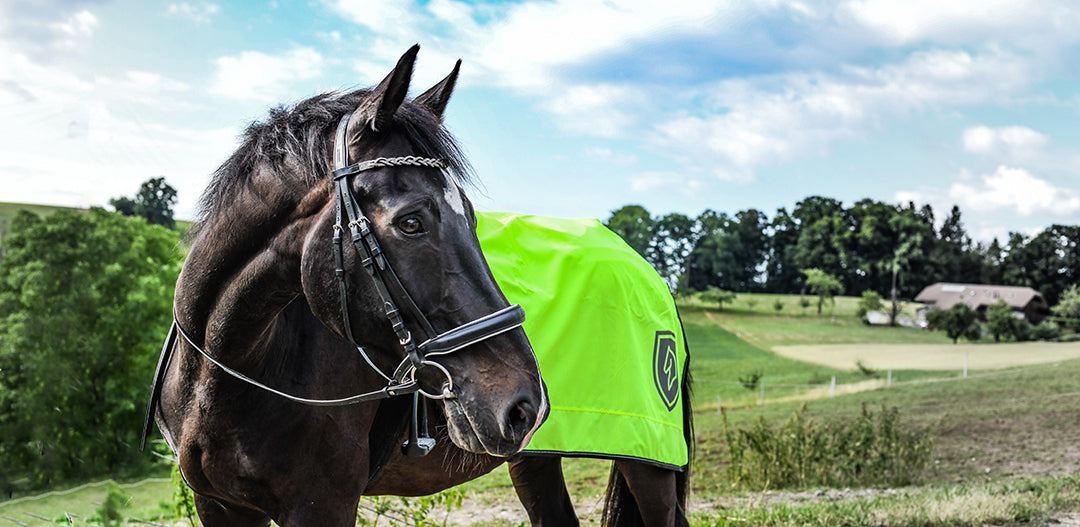 Ländtäcke reflex YELLOW / XL