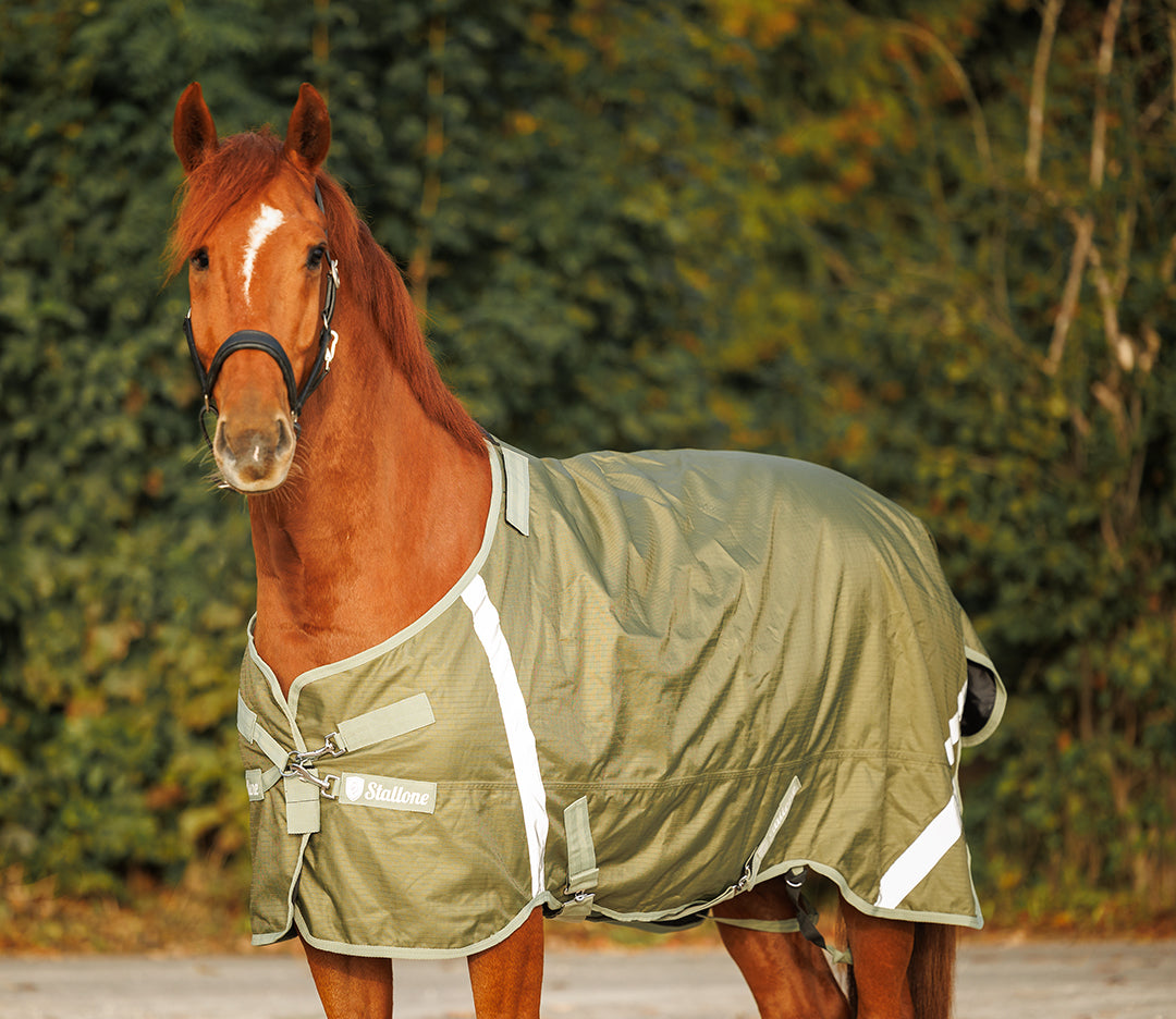 Utetäcke Denver 100 g OLIVE / 165 CM