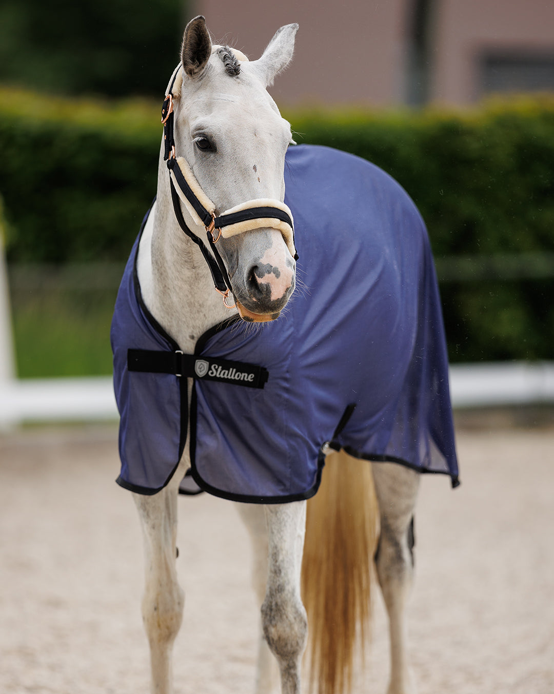 Flugtäcke Easy Summer med avtagbara gjordar NAVY / 125 CM