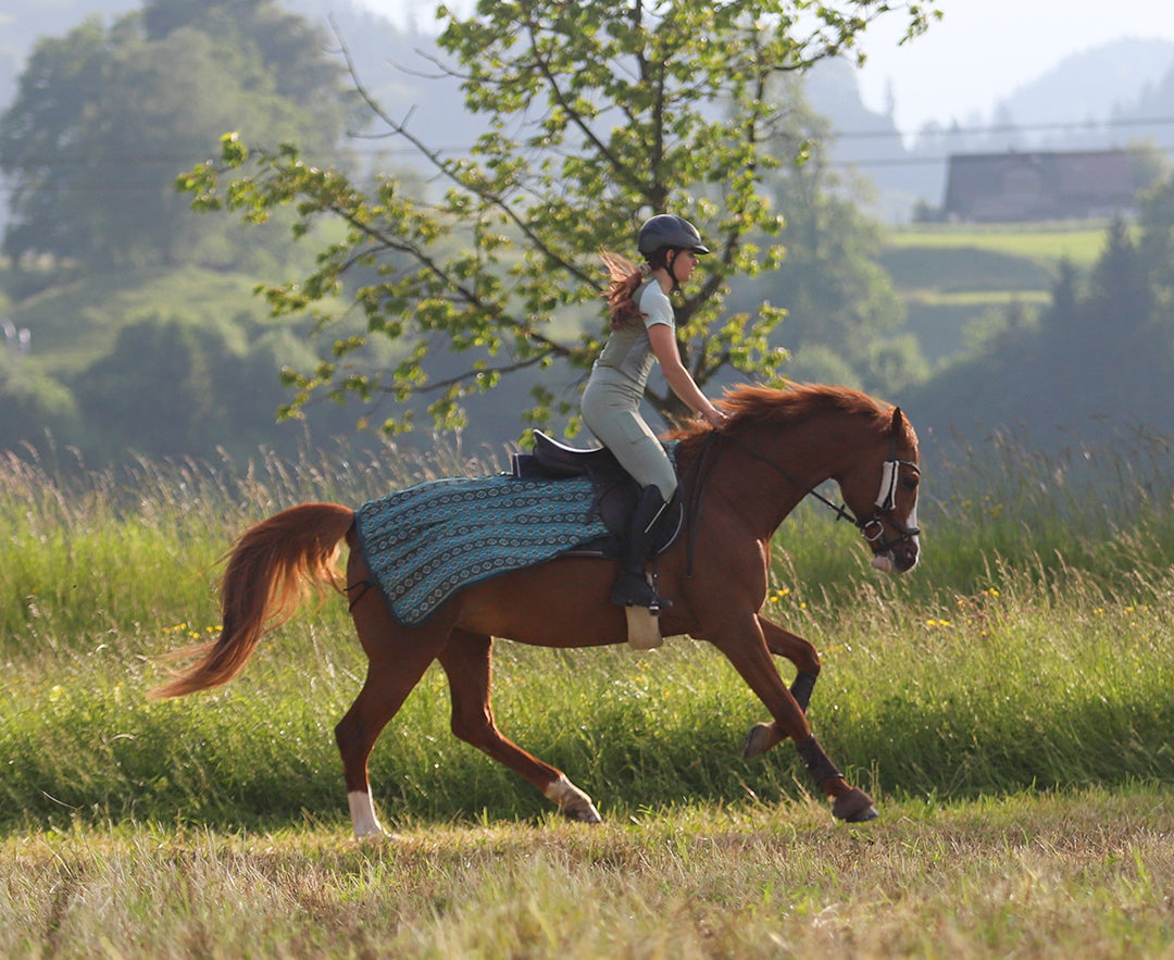 Flugridtäcke Summer Stroll TEAL/BEIGE / M