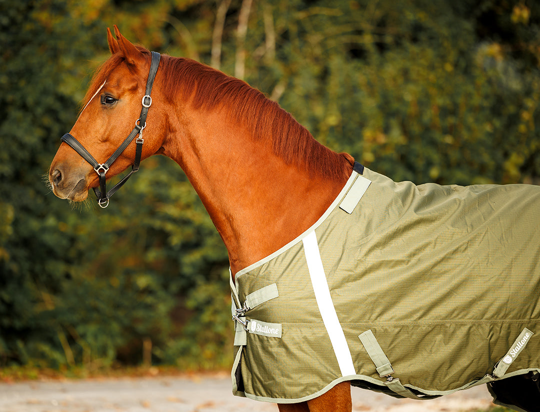 Utetäcke Outdoor Guard 50 g OLIVE / 165 CM