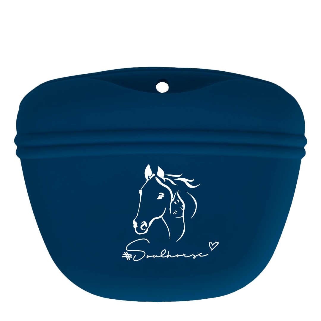 Godispåse i silikon BLÅ / 1 STYCKE