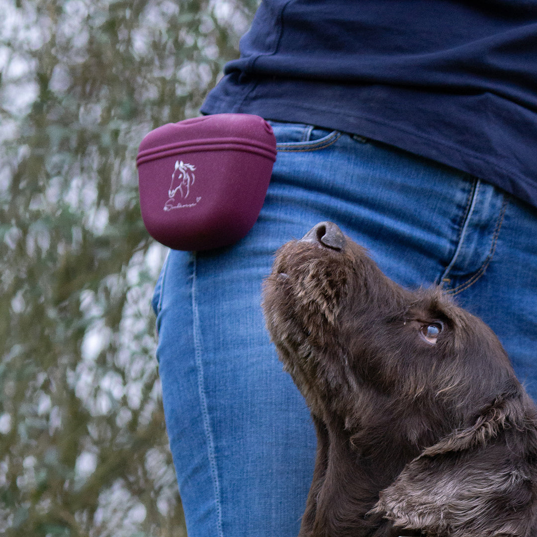 Godispåse i silikon BERRY GLITTER / 1 STYCKE