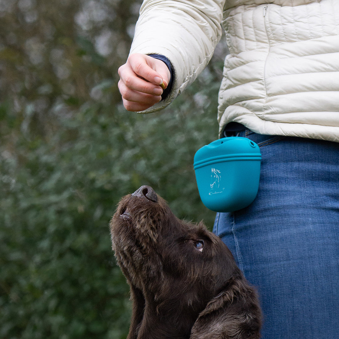 Godispåse i silikon TURKOS / 1 STYCKE