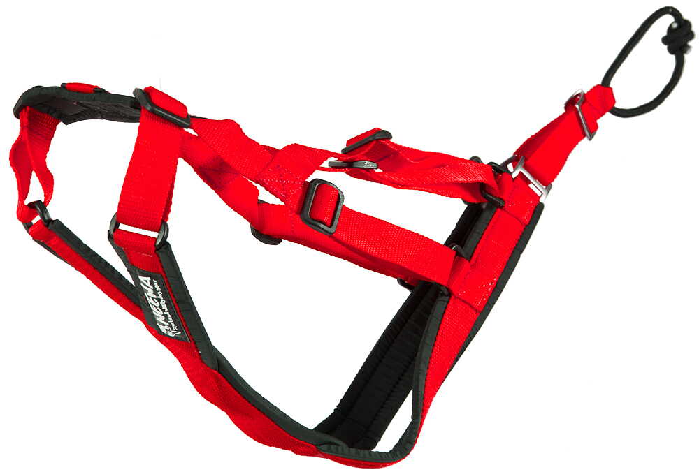 Sled Dog X-Back