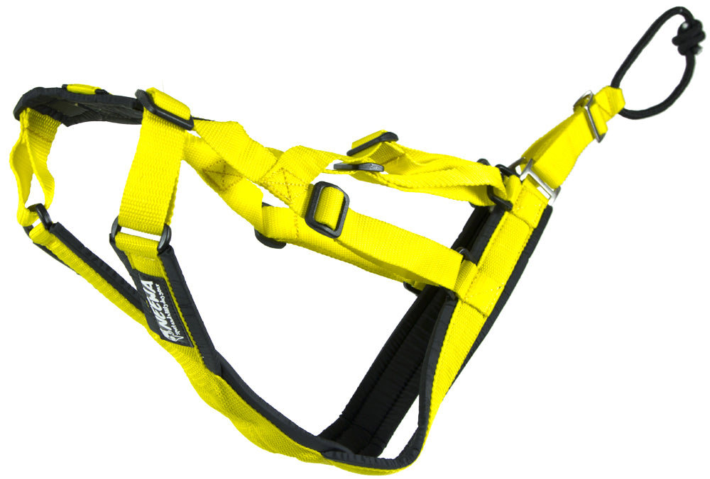 Sled Dog X-Back