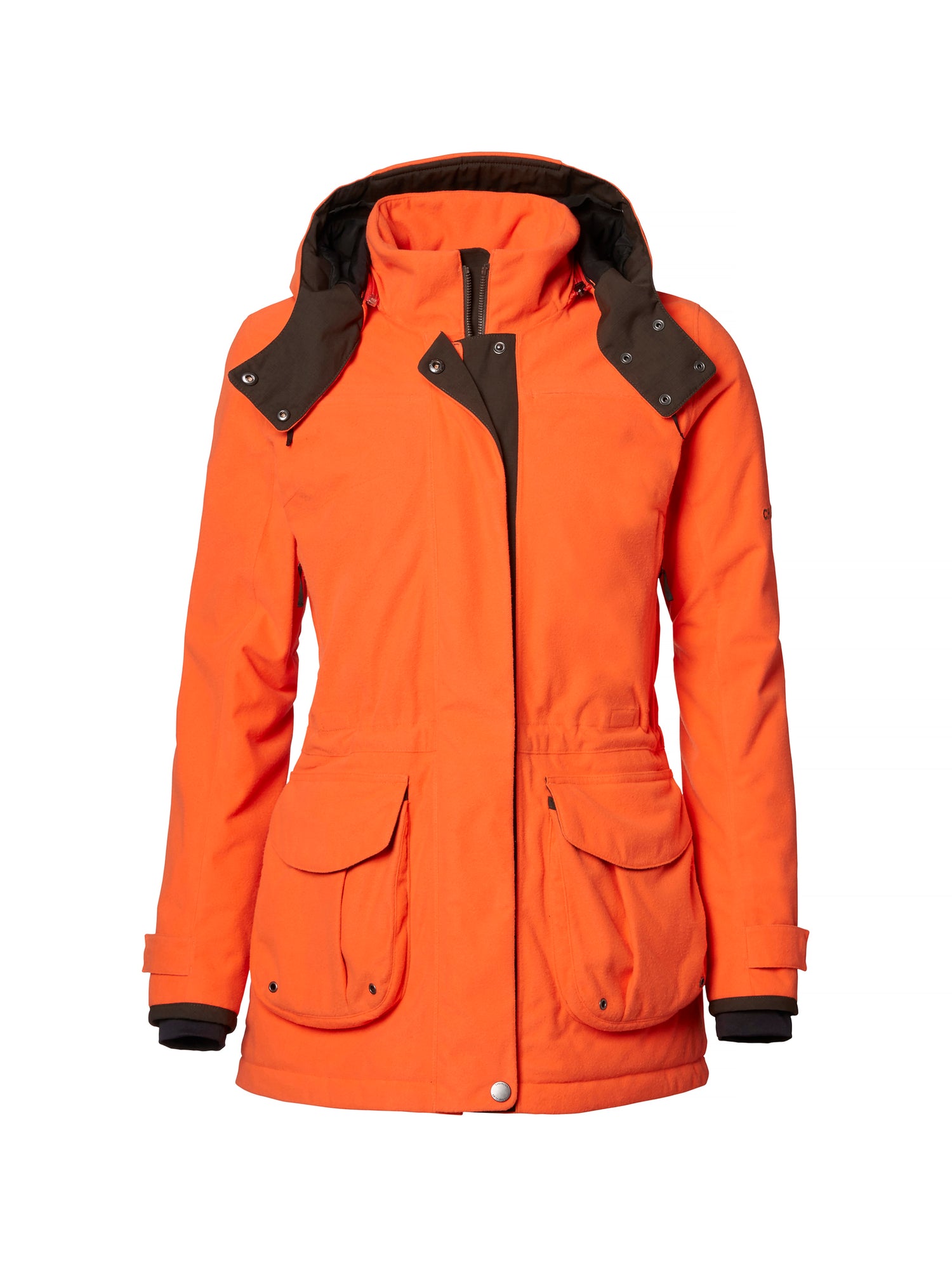 Basset Jacka Dam ORANGE / 48