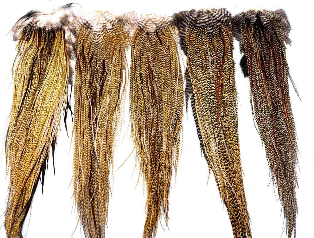 Heritage Hackle Saddle Variant BARRED GINGER / ONE SIZE