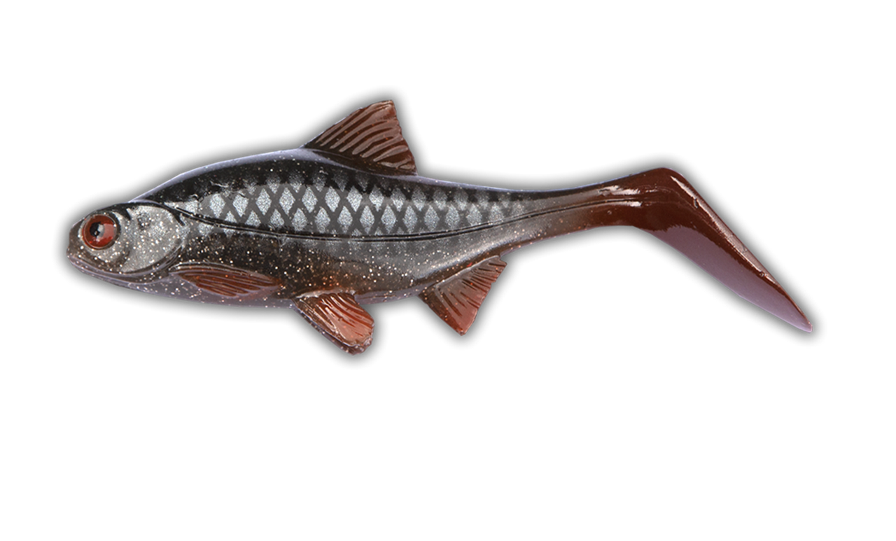 Hooligan Roach JR REAL ROACH / 15 CM / 45 GRAM