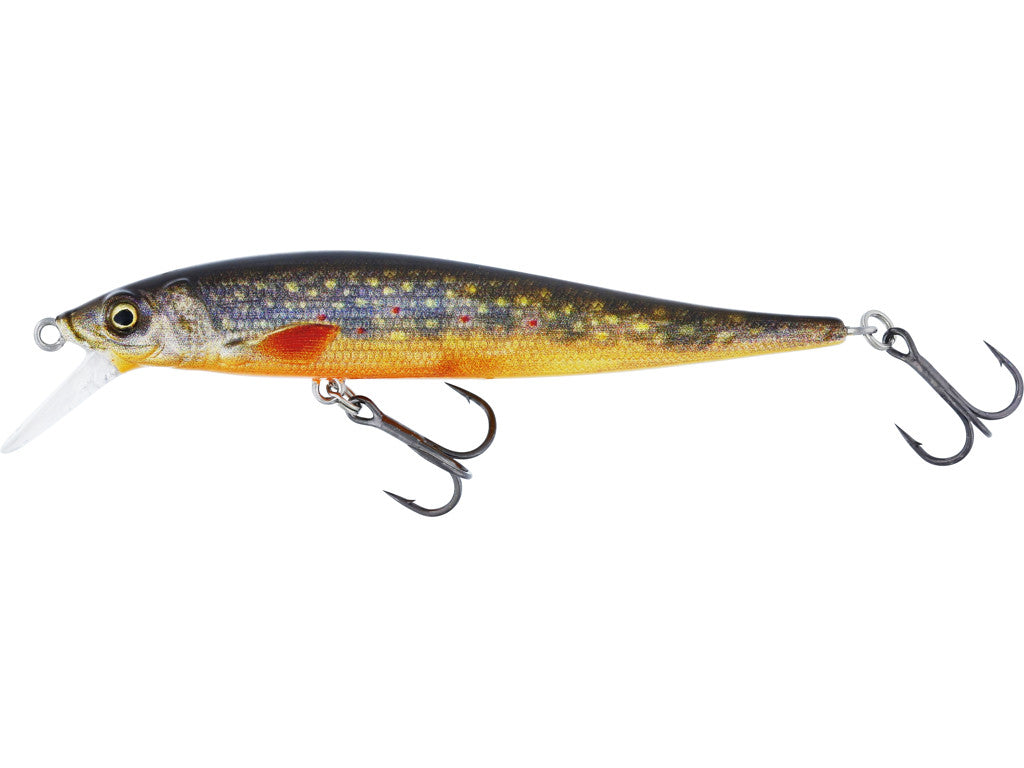Jerkbite 7,5 cm BROOK TROUT / 7,5 CM / 5 GRAM / SUSPENDING