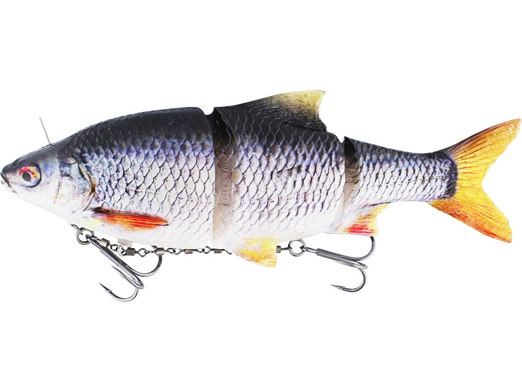 Ricky the Roach inline REAL ROACH / 20 CM / 119 GRAM