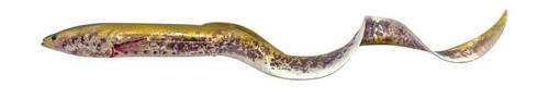 Real Eel GREEN LAMPREY / 40 CM / 147 GRAM