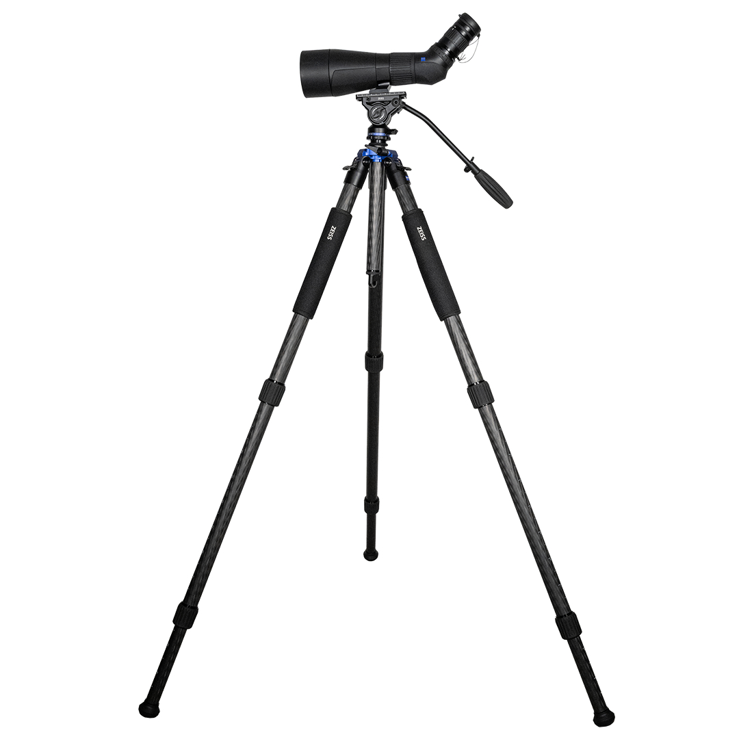Zeiss Gavia 30-60x85 Med Zeiss Pro-Series Universal Kolfiberstativ