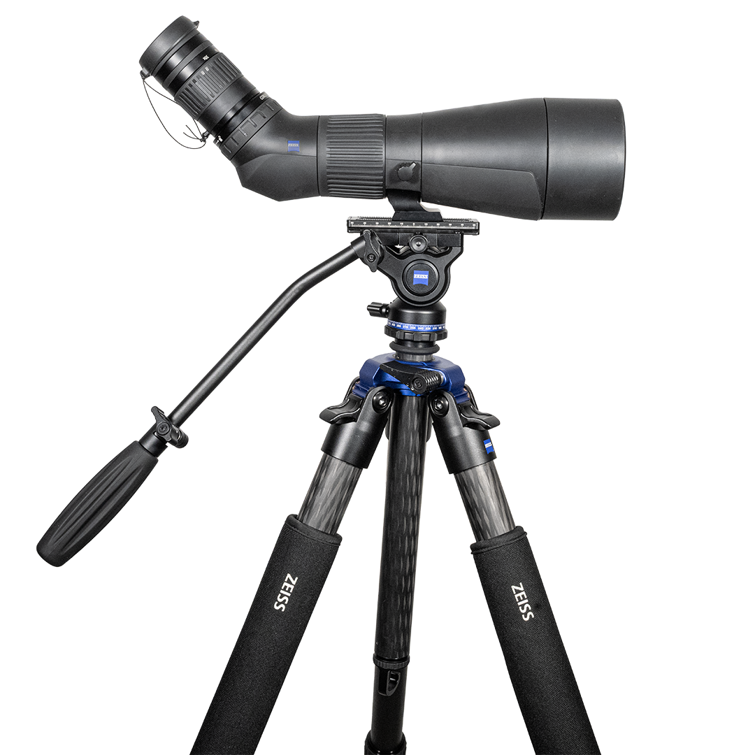 Zeiss Gavia 30-60x85 Med Zeiss Pro-Series Universal Kolfiberstativ