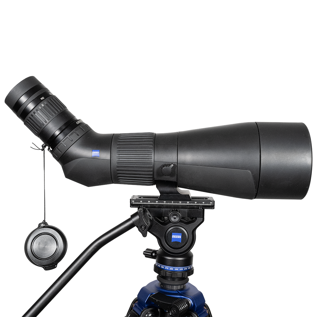 Zeiss Gavia 30-60x85 Med Zeiss Pro-Series Universal Kolfiberstativ