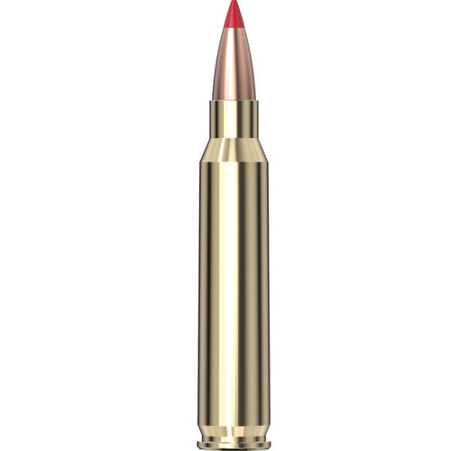 Match™ Ammunition 223 REM 73 gr ELD® Match 20st/ask