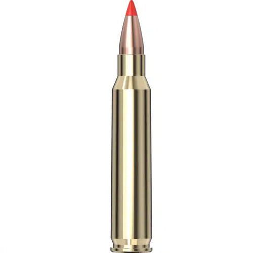Varmint Express® Ammunition 223 REM 55 gr V-MAX® 20/ask
