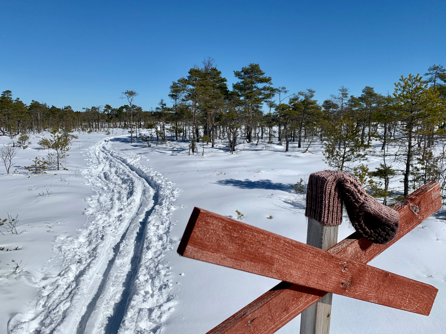 Turskidpaket: Alpina Discovery 68 NW